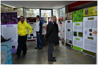 اسلام رجل وامرأتان